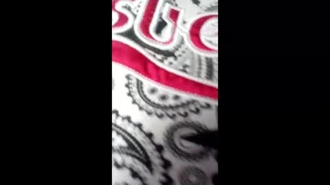 bebyhardsex online show from March 17, 2026, 2:09 pm