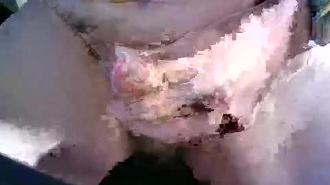 behn1983 online show from March 28, 2026, 10:48 am