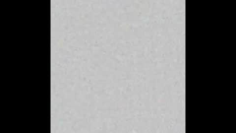 Zia online show from January 13, 2025, 12:09 am