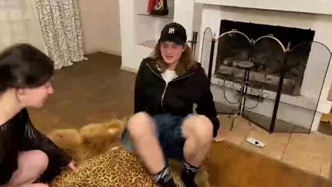 Baila online show from November 12, 2025, 9:58 pm