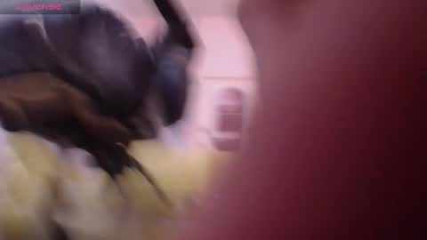 Bella online show from March 28, 2026, 1:00 pm