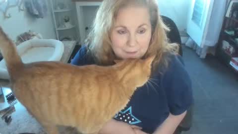 Bellavoca online show from April 11, 2026, 6:01 pm