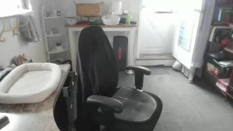 Bellavoca online show from April 28, 2026, 8:47 pm