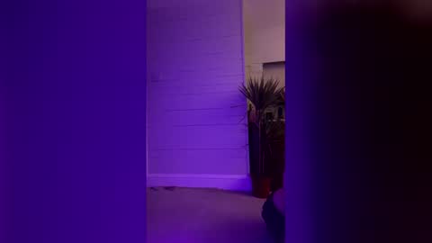 Snapshot of bellaxlauren chatting on February 11, 2026, 10:48 pm bellaxlauren online show from February 11, 2026, 10:48 pm