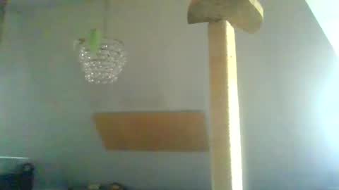 Snapshot of benizio_ chatting on January 30, 2025, 11:01 am benizio online show from January 30, 2025, 11:01 am