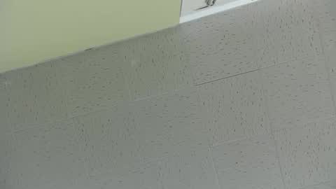 Ben online show from March 2, 2025, 7:45 pm