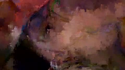 Snapshot of bentito2 chatting on July 1, 2026, 7:46 pm bentito2 online show from July 1, 2026, 7:46 pm