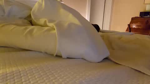 Snapshot of bentpilot chatting on December 20, 2025, 11:50 am bentpilot online show from December 20, 2025, 11:50 am