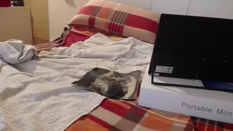 Snapshot of berlinerbaer1963 chatting on April 19, 2026, 6:43 pm berlinerbaer1963 online show from April 19, 2026, 6:43 pm