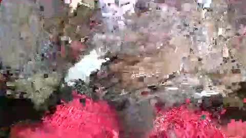 ToxicPipe757 online show from May 20, 2026, 5:19 pm