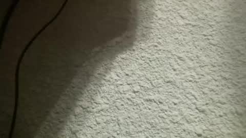 Bigfish123 online show from February 4, 2025, 5:21 am