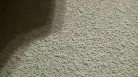 Bigfish123 online show from October 10, 2025, 4:44 am