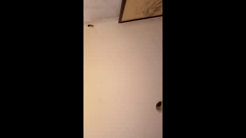 bgiamba21 online show from January 12, 2026, 6:51 am