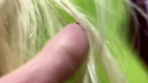 angela online show from January 1, 2025, 6:05 am