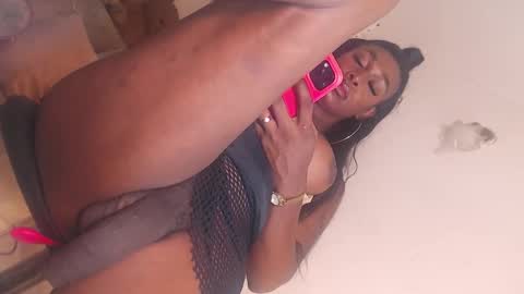 dashiell online show from March 31, 2026, 3:41 am