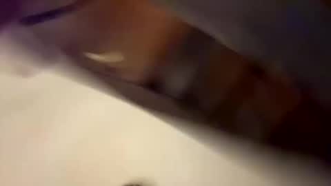 bigballsandcock777 online show from September 9, 2025, 2:11 am