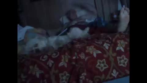 Snapshot of bigbenidick1 chatting on October 20, 2025, 1:28 am BB online show from October 20, 2025, 1:28 am