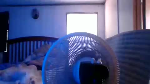 BB online show from March 28, 2026, 8:30 pm