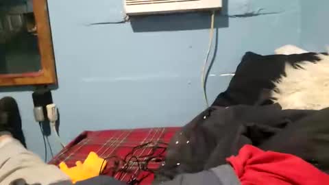 Snapshot of bigblu659 chatting on January 9, 2025, 12:35 am bigblu659 online show from January 9, 2025, 12:35 am