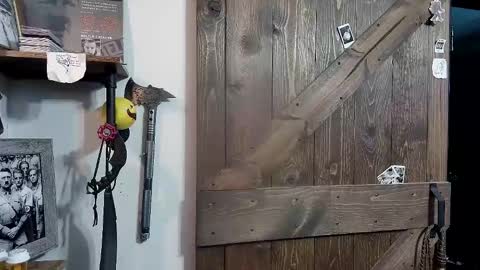 Darryl online show from February 12, 2025, 4:23 am