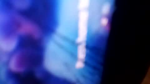 Snapshot of bigdickdaddy42023 chatting on December 4, 2024, 11:08 am Rooster P online show from December 4, 2024, 11:08 am