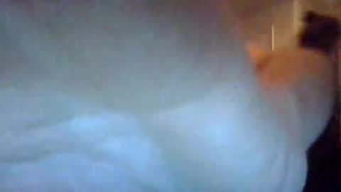 Snapshot of bigdickdaddy7201979564868 chatting on September 22, 2025, 7:10 am bigdickdaddy7201979564868 online show from September 22, 2025, 7:10 am