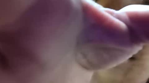 bigdickdaddy7201979564868 online show from June 10, 2026, 8:24 am