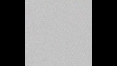 Bullforthecucks online show from February 15, 2025, 10:33 am