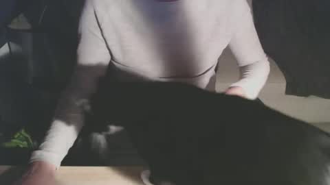 BigDutchEnergy online show from February 28, 2026, 11:06 pm