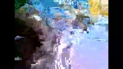 Mr Alpha online show from December 11, 2024, 2:41 am