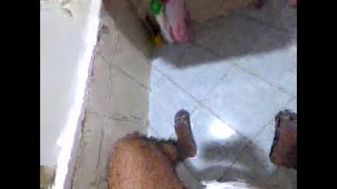 bighdasehzada online show from April 19, 2026, 8:24 am