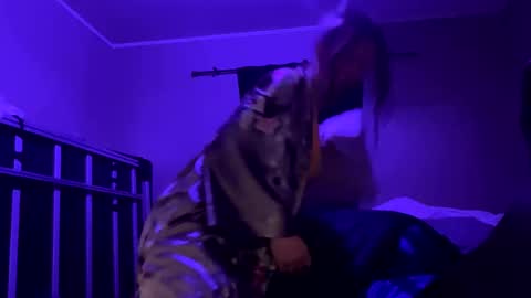 Bigkitties online show from January 23, 2025, 2:17 pm