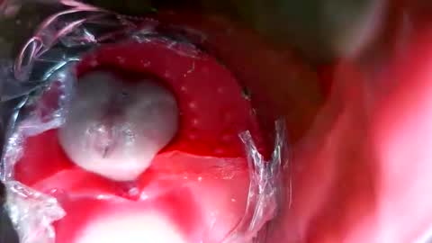 Snapshot of bigmoneycorey chatting on March 12, 2026, 7:31 pm bigmoneycorey online show from March 12, 2026, 7:31 pm