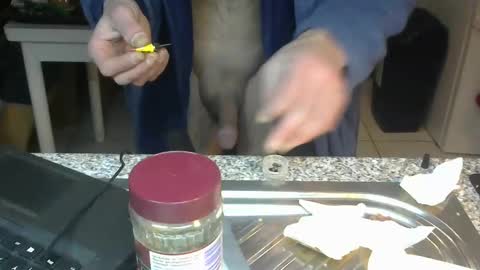 Snapshot of bigreallover chatting on January 22, 2025, 2:37 am ...... online show from January 22, 2025, 2:37 am