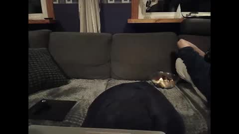 bigswe1 online show from March 5, 2025, 1:52 am