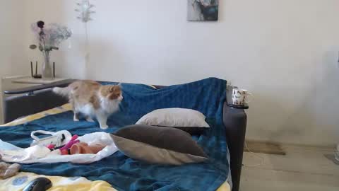 BigTwinsOmg online show from March 16, 2026, 6:50 am