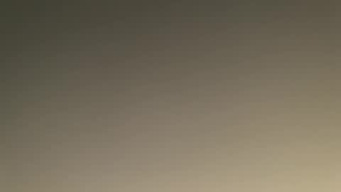 bill95099 online show from January 15, 2025, 4:43 pm