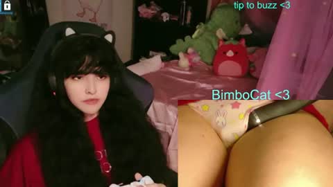 BimboCat online show from June 12, 2026, 1:26 am