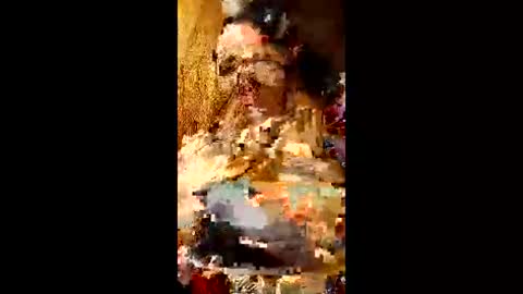 bina241986 online show from June 10, 2026, 5:01 pm