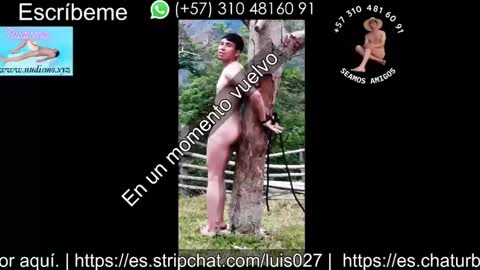 Snapshot of bisexual0007 chatting on September 18, 2025, 2:35 am luis027 online show from September 18, 2025, 2:35 am