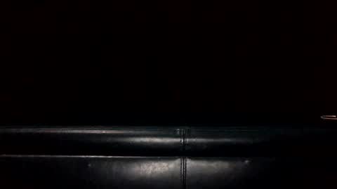 Snapshot of bkjdogfornow chatting on January 5, 2025, 1:56 am bkjdogfornow online show from January 5, 2025, 1:56 am