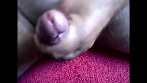 blabla78000 online show from September 15, 2025, 6:46 am