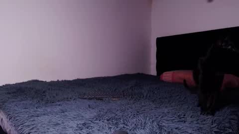 Snapshot of black_firex chatting on October 6, 2025, 4:59 pm black_firex online show from October 6, 2025, 4:59 pm