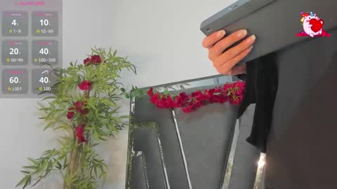 B L A C K  R O S E  online show from February 20, 2025, 11:31 am