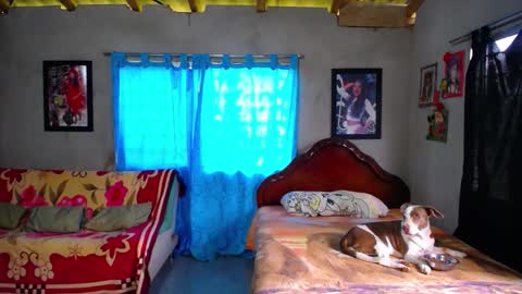 Snapshot of blackpanter_13 chatting on December 18, 2025, 1:39 pm Black Panther online show from December 18, 2025, 1:39 pm