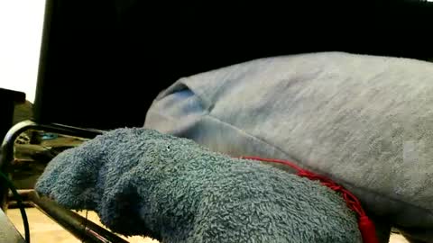 Snapshot of blackriches96 chatting on February 21, 2025, 3:21 pm blackriches96 online show from February 21, 2025, 3:21 pm