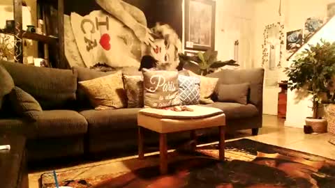 Snapshot of blackriches96 chatting on February 14, 2026, 8:33 am blackriches96 online show from February 14, 2026, 8:33 am