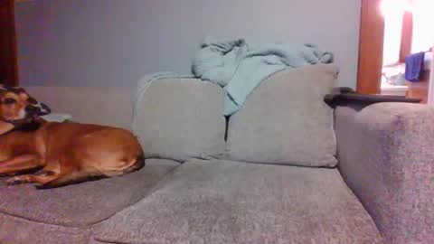 blaw_1321 online show from March 5, 2025, 9:59 pm