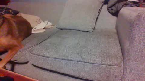 blaw_1321 online show from April 14, 2026, 7:25 am