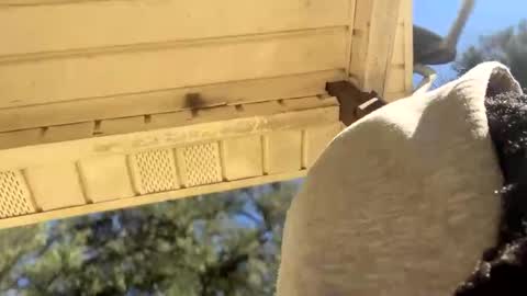 Snapshot of blaxkasta chatting on January 4, 2025, 5:05 pm Black Clover online show from January 4, 2025, 5:05 pm